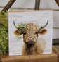 Pretty Highland Portrait Block
